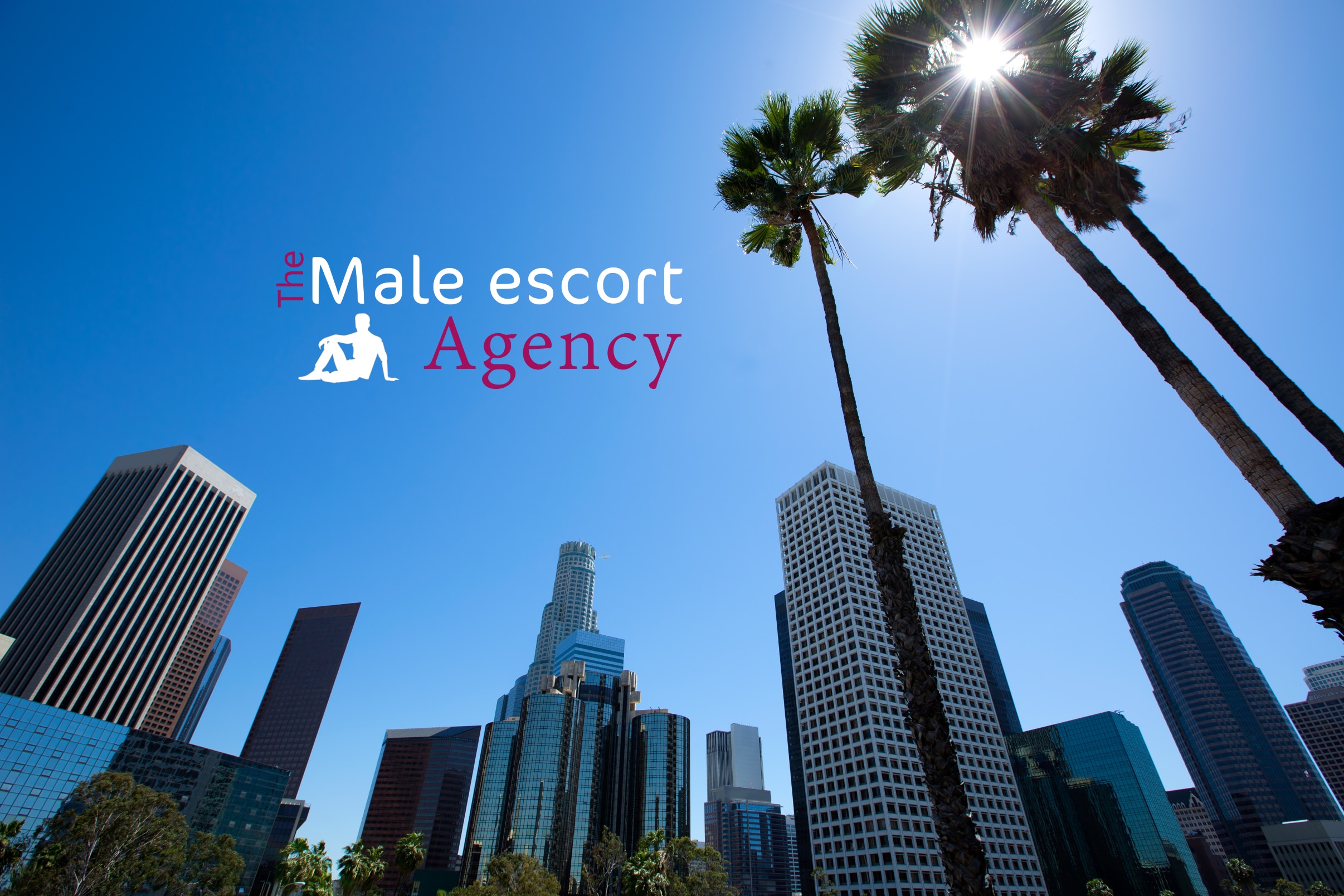 LA Male Escorts