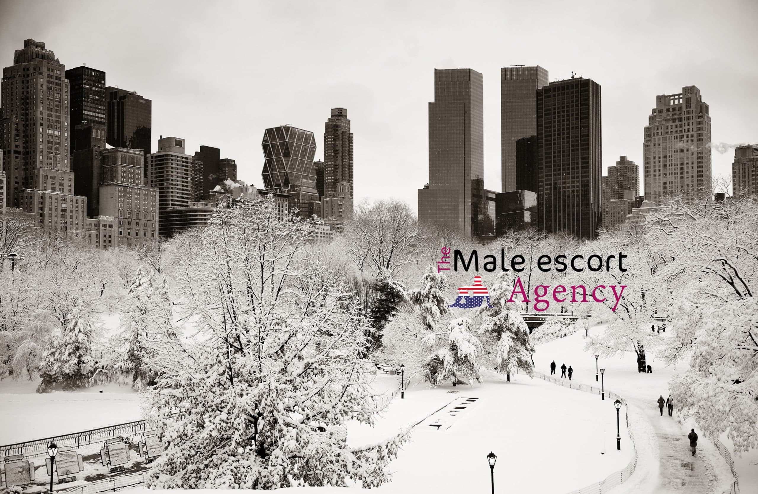 New York male escorts