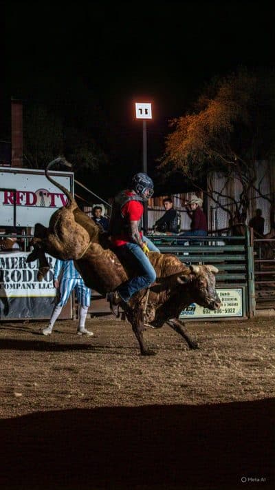 An image in Xander's male escort portfolio