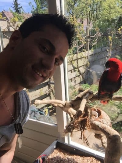 An image in Mauro's male escort portfolio