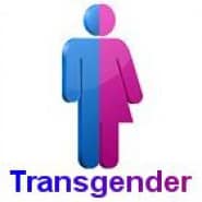 transgender male escort