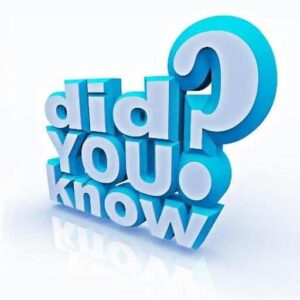 Male escort facts