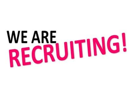 become a male escort