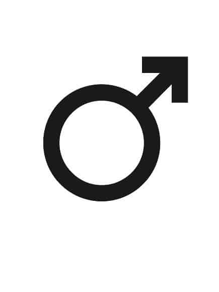 male escorts
