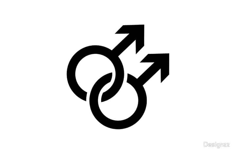 gay male escort
