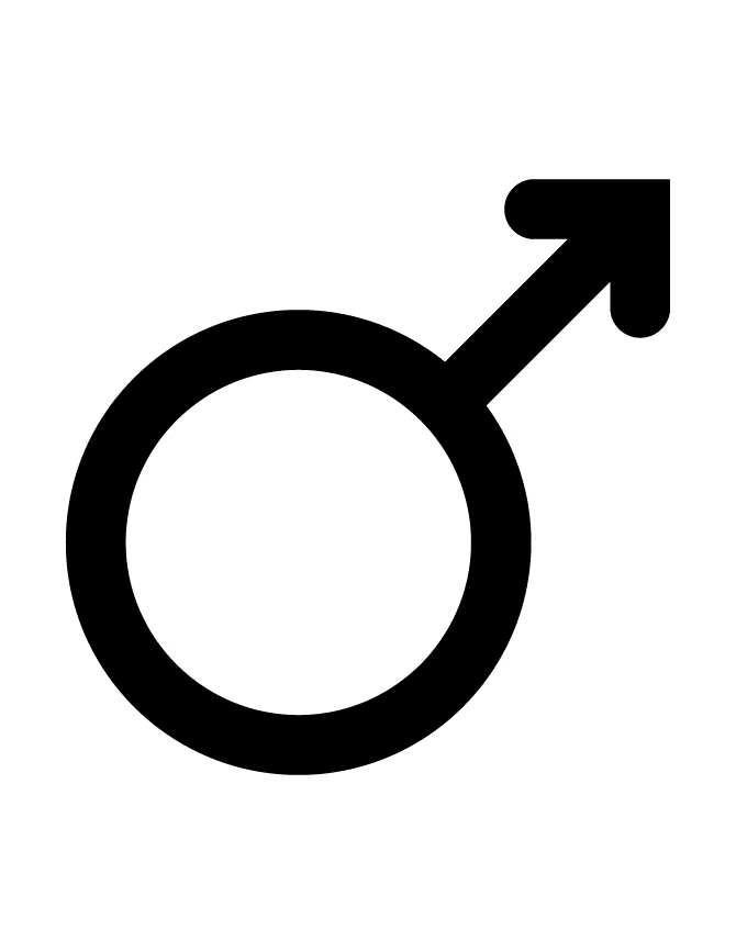 straight male escorts