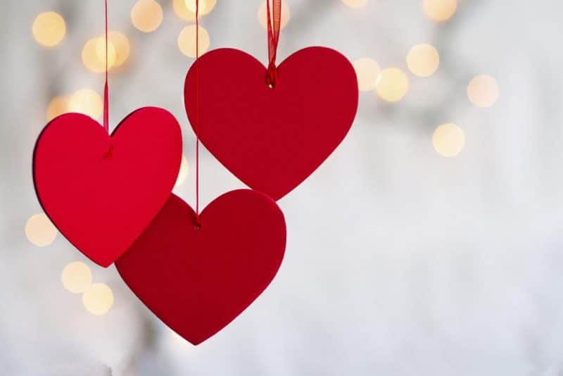 valentine day male escort