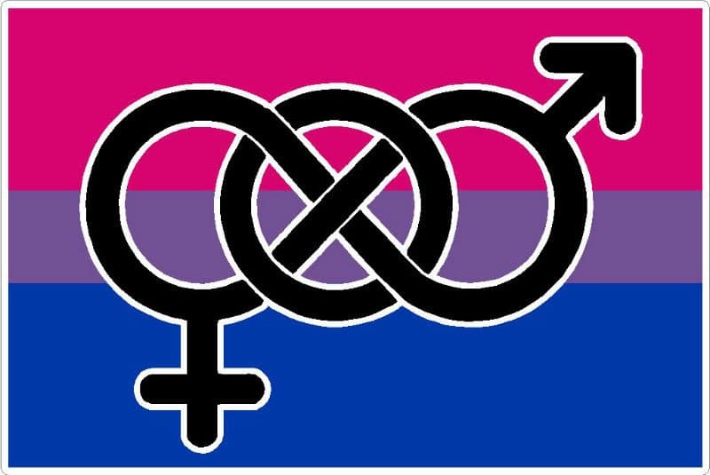 bisexual male escorts