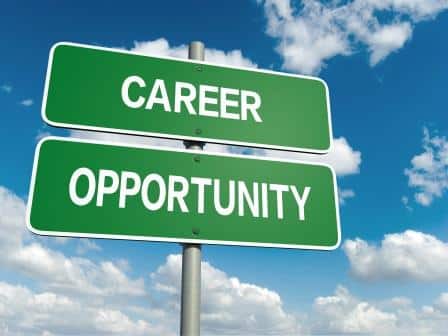 male escort employment