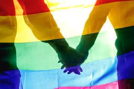 gay male escorting