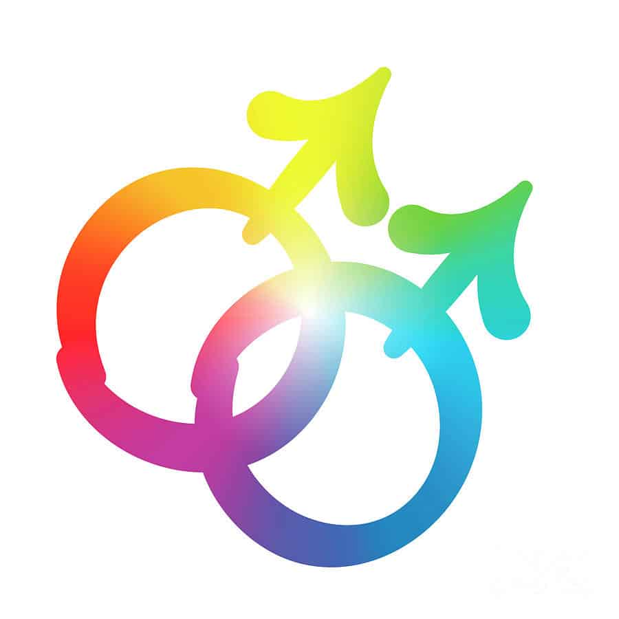 gay male companions