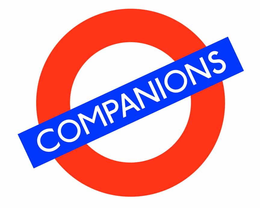 straight male companions