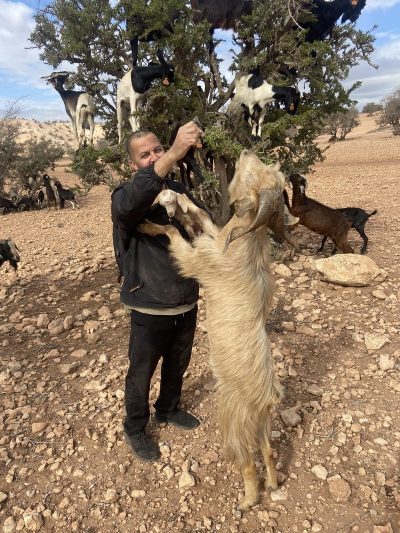 An image in Haf's male escort portfolio